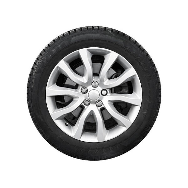 Pioneer A/T 1